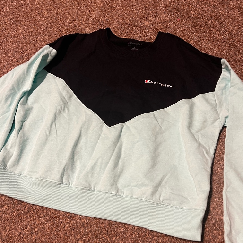 Champion sweater